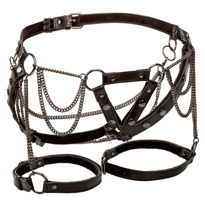 CALEXOTICS - EUPHORIA MULTICHAIN IMBRACATURA COSCIA PREMIUM TAGLIA PIÙ GRANDE - CALEXOTICS | Lingerie Harness Boutique