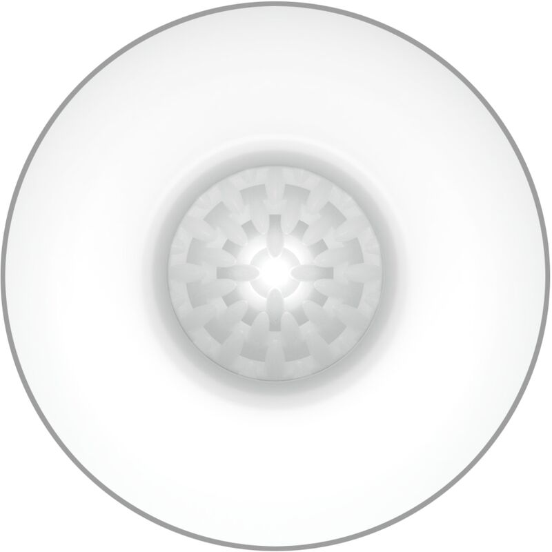 PRETTY LOVE - MASTURBATORE MASCHILE ALBUM D'UOVO - PRETTY LOVE FLIRTATION | Lingerie Harness Boutique