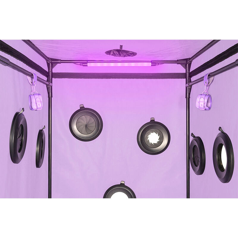 SECRET DOME - KINK CLUB CABIN SCANDALE VIOLA - SECRET DOME | Lingerie Harness Boutique