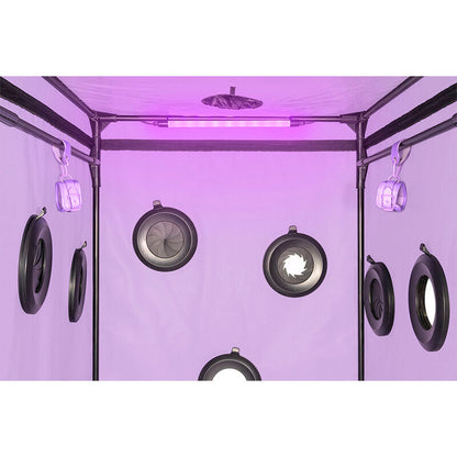 SECRET DOME - KINK CLUB CABIN SCANDALE VIOLA - SECRET DOME | Lingerie Harness Boutique