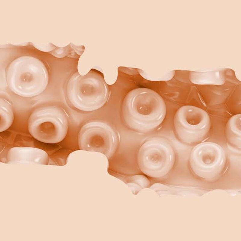 FLESHLIGHT FANTASY - VAGINA DI SASHA NAKAMOTO - FLESHLIGHT FANTASY | Lingerie Harness Boutique