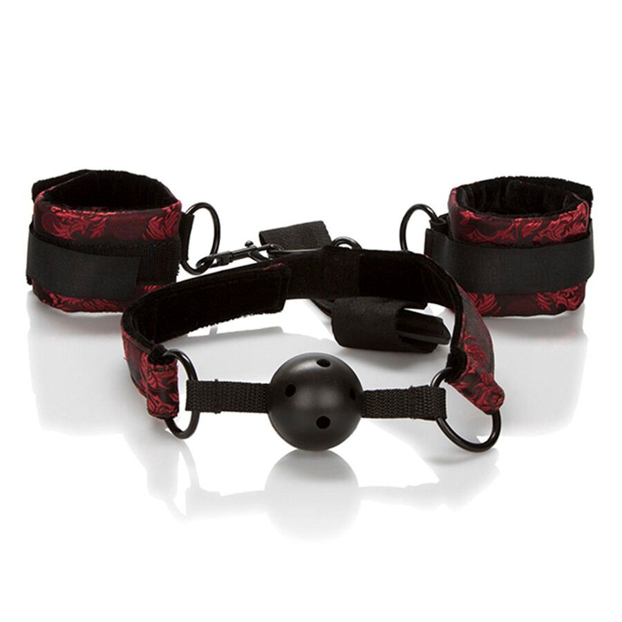 CALEXOTICS - SCANDAL BALL GAG TRASPIRANTE CON MANETTE - CALEXOTICS | Lingerie Harness Boutique