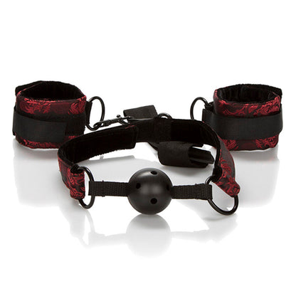 CALEXOTICS - SCANDAL BALL GAG TRASPIRANTE CON MANETTE - CALEXOTICS | Lingerie Harness Boutique
