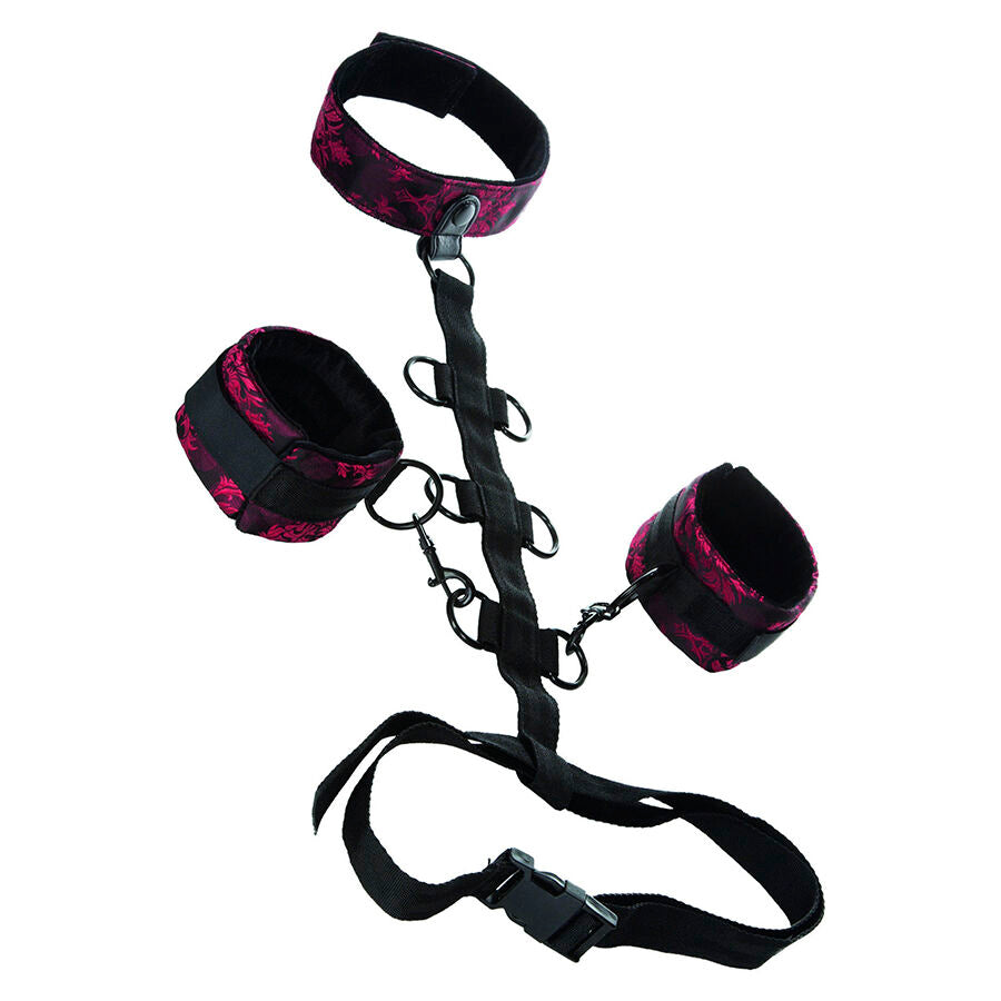 CALEXOTICS - SCANDAL COMPORAL SUPPORT CON COLLO - CALEXOTICS | Lingerie Harness Boutique
