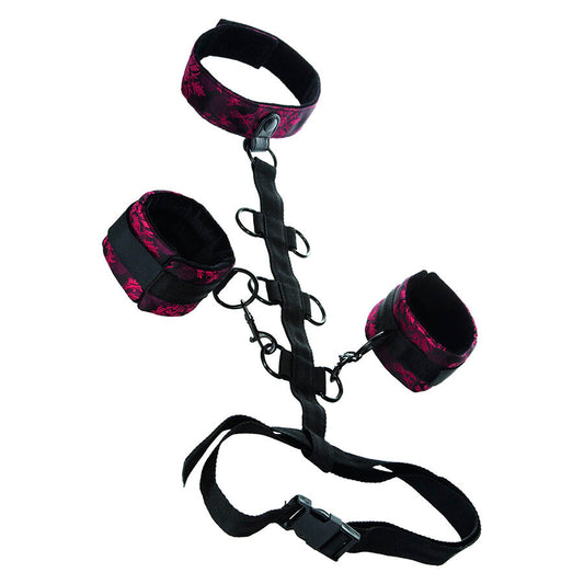 CALEXOTICS - SCANDAL COMPORAL SUPPORT CON COLLO - CALEXOTICS | Lingerie Harness Boutique