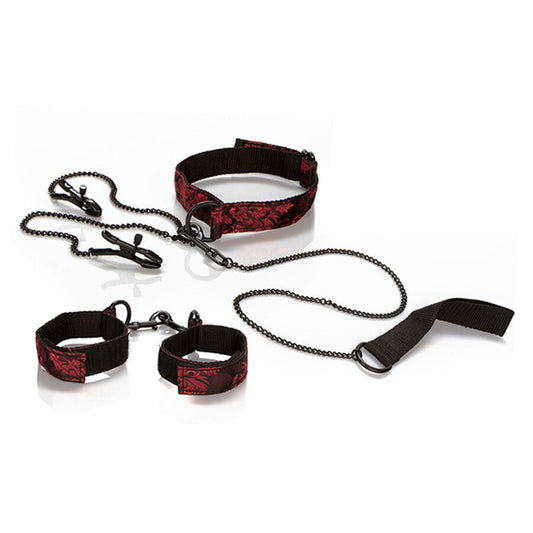 CALEXOTICS - SCANDAL KIT PER LA PRESENTAZIONE - CALEXOTICS | Lingerie Harness Boutique