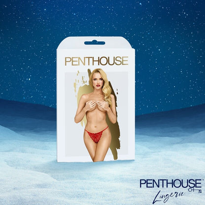 SATISFYER - CALENDARIO DELL'AVVENTO PREMIUM 2025 - SATISFYER | Lingerie Harness Boutique