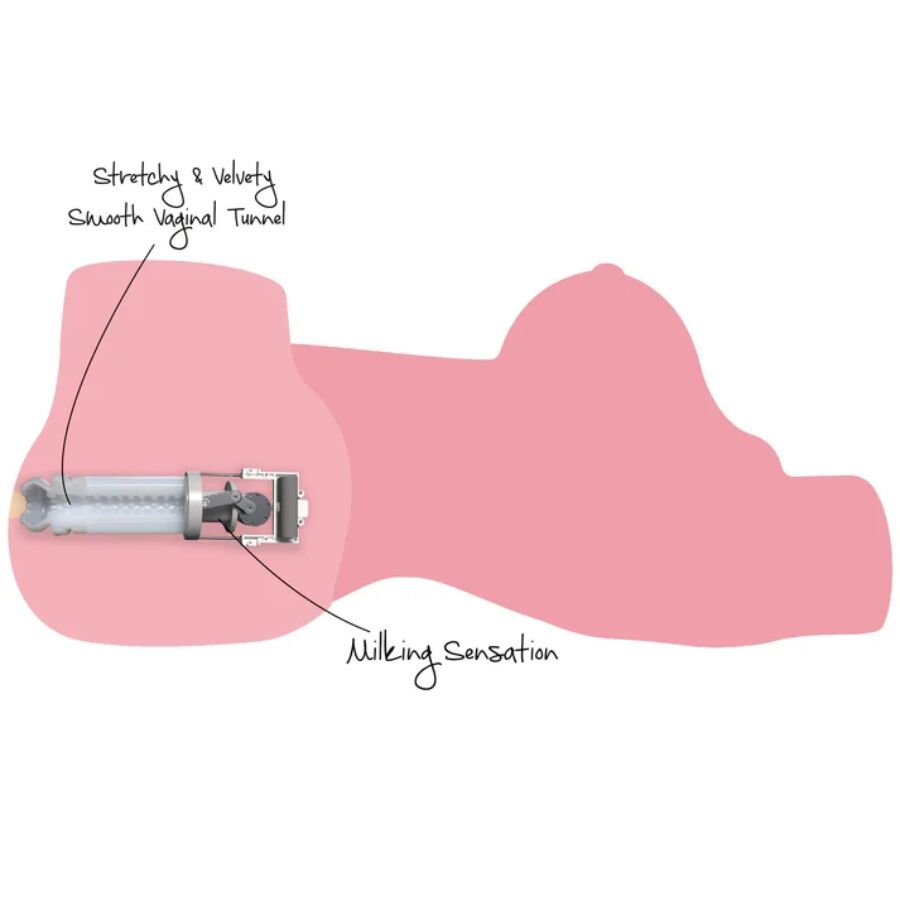 DESIDERIO NASCOSTO - MASTURBATORE FEMMINILE MEGA TROIA CON TORSO DA 22 KG - HIDDEN DESIRE | Lingerie Harness Boutique