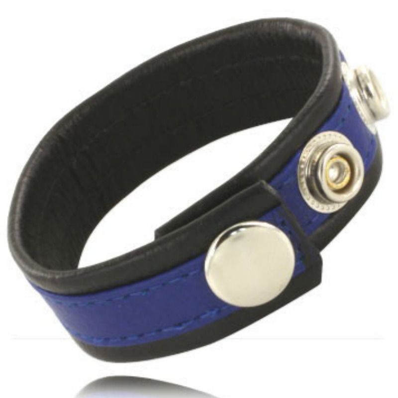 LEATHER BODY - AND STRAP WITH SNAP HOOKS - BLACK AND BLUE