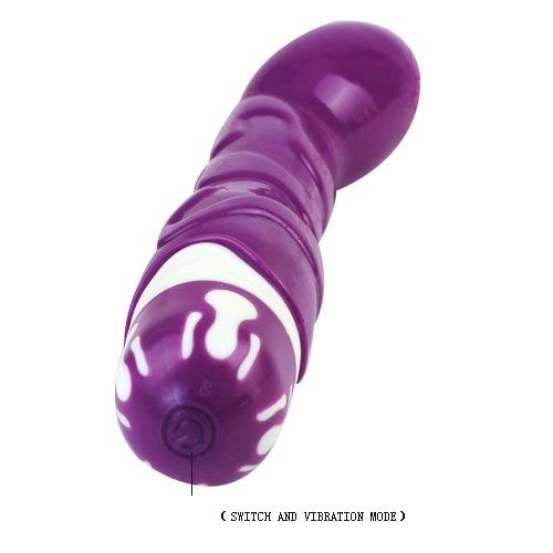 BAILE - CAZZO REALISTICO A 10 RITMI SENSAZIONE VIOLETTO - BAILE VIBRATORS | Lingerie Harness Boutique