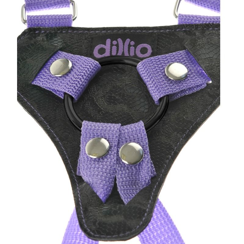 DILLIO - HARNESS SET WITH 7 INCH STRAP