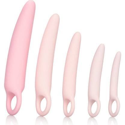 CALEXOTICS - SET DI DILATATORE IN SILICONE INSPIRE 5 PZ - CALEXOTICS | Lingerie Harness Boutique