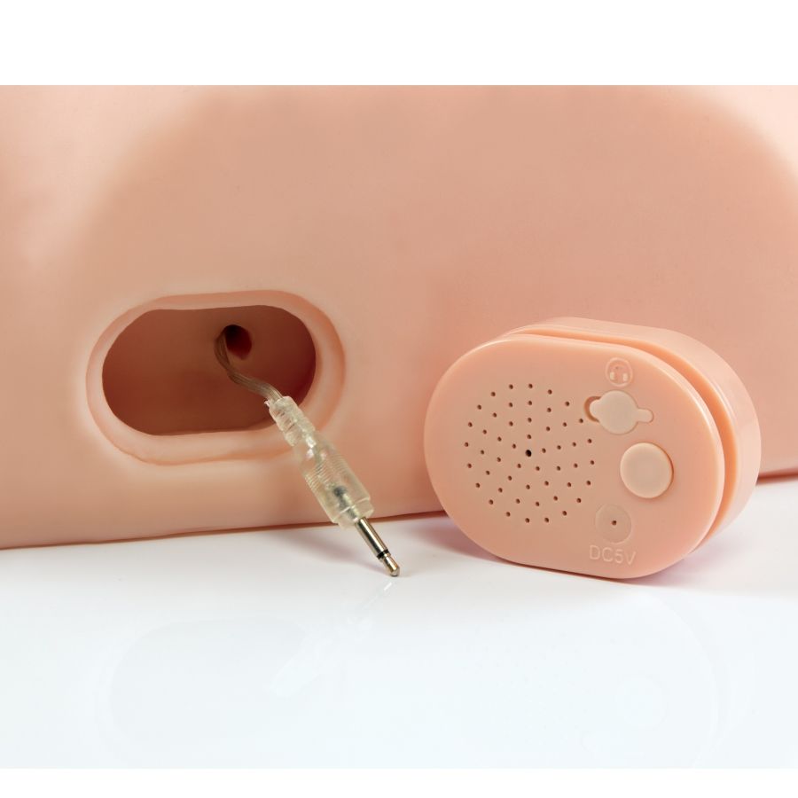 PDX MALE - MASCHIO INTERATTIVO SCOPALO SCIOCTO - PDX MALE | Lingerie Harness Boutique