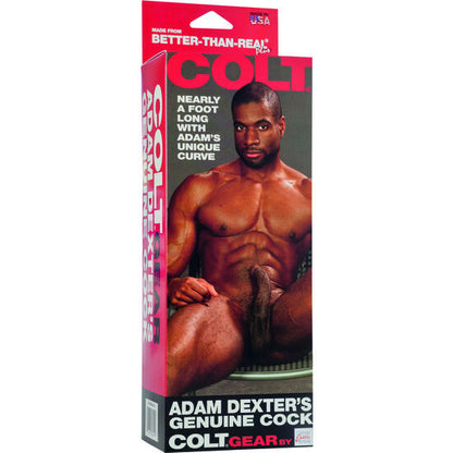 CALEXOTICS - IL CAZZO DI COLT ADAM DEXTER - CALEXOTICS | Lingerie Harness Boutique