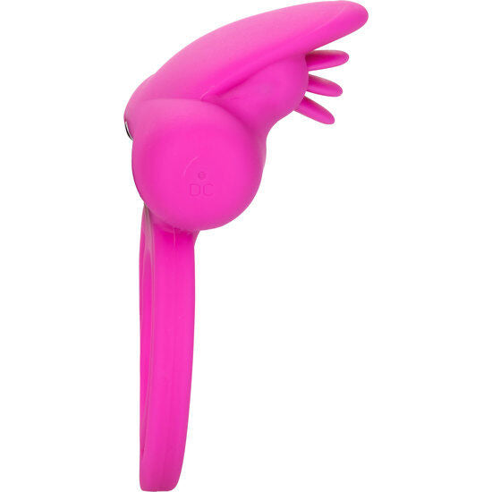 CALEXOTICS - ENHANCER DELLO SFARFALLIO DOPPIO CLIT - CALEXOTICS | Lingerie Harness Boutique