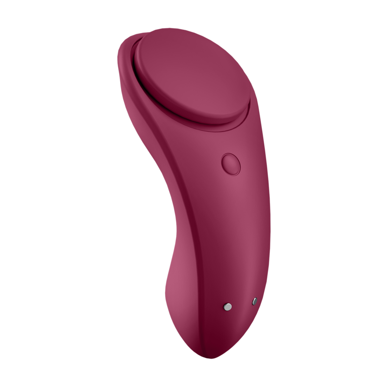 SATISFYER - SEXY SECRET PANTY - SATISFYER CONNECT | Lingerie Harness Boutique