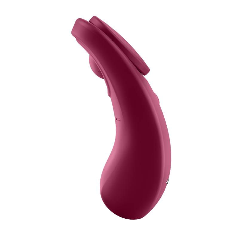 SATISFYER - SEXY SECRET PANTY - SATISFYER CONNECT | Lingerie Harness Boutique