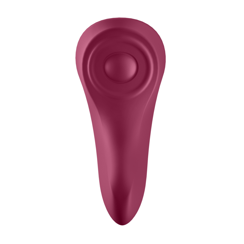 SATISFYER - SEXY SECRET PANTY - SATISFYER CONNECT | Lingerie Harness Boutique