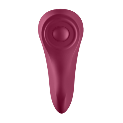 SATISFYER - SEXY SECRET PANTY - SATISFYER CONNECT | Lingerie Harness Boutique